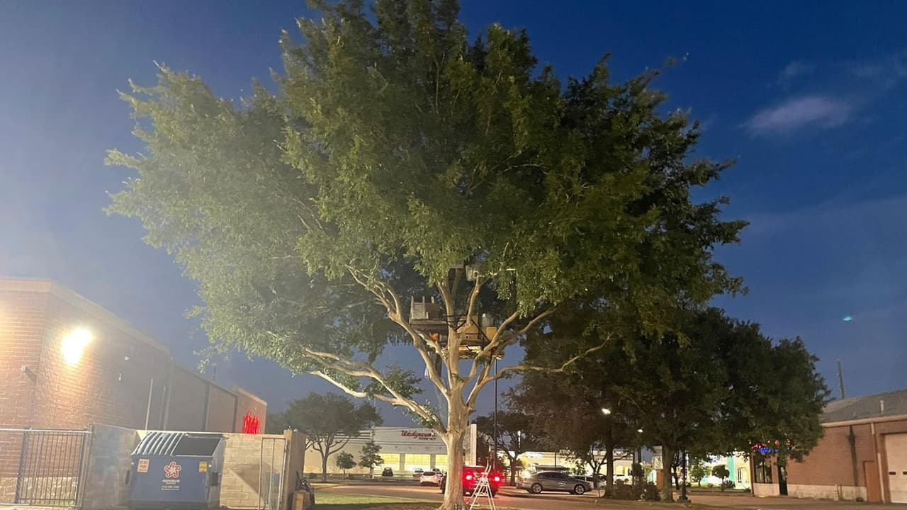 La Coalición de Desamparados en el área de Houston señala que los esfuerzos de respuesta a la pandemia han ayudado a mantener bajas las tasas de personas sin hogar en los condado Harris, Fort Bend y Montgomery.