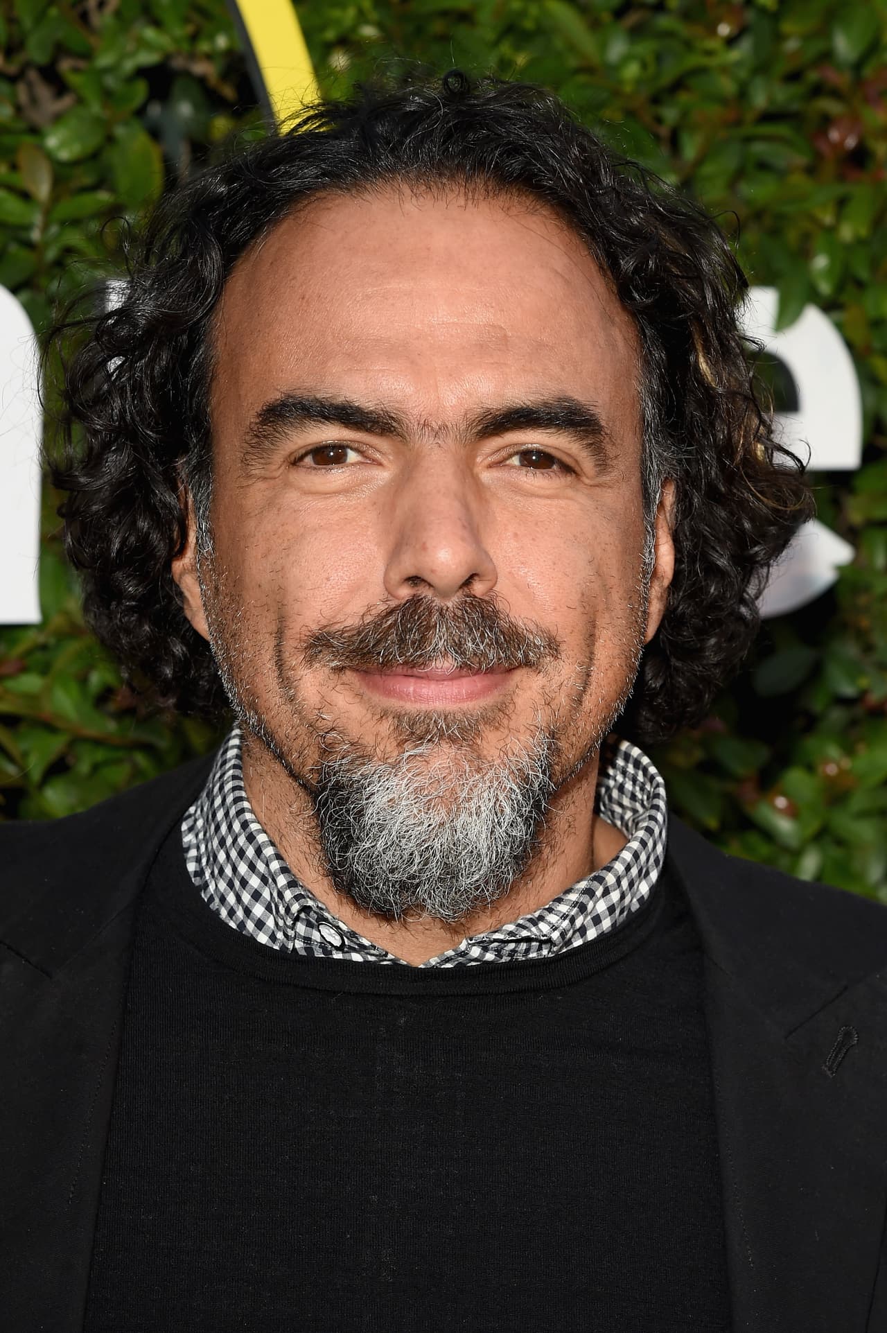 Finalmente, tenemos a Alejandro González Iñárritu.