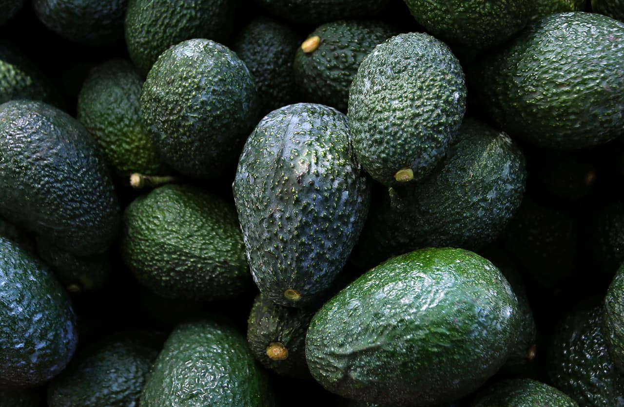 EEUU suspende importación de aguacate mexicano por amenazas contra un inspector