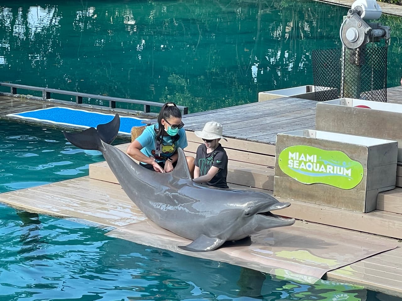 Niño de 9 años que sobrevivió al ataque de un tiburón en Miami Beach juega con delfines