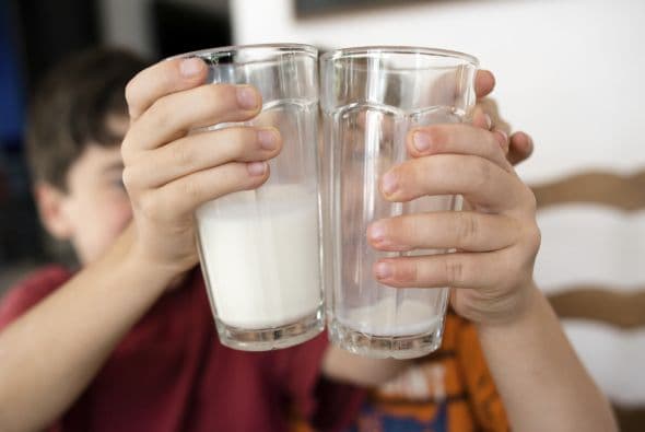 Las leches vegetales están ganando popularidad, y con razón. Con pocas grasas saturadas y naturalmente libres de colesterol, estas bebidas podrían convertirse en tus aliadas a la hora del desayuno. ¡Conoce las alternativas y sus beneficios!