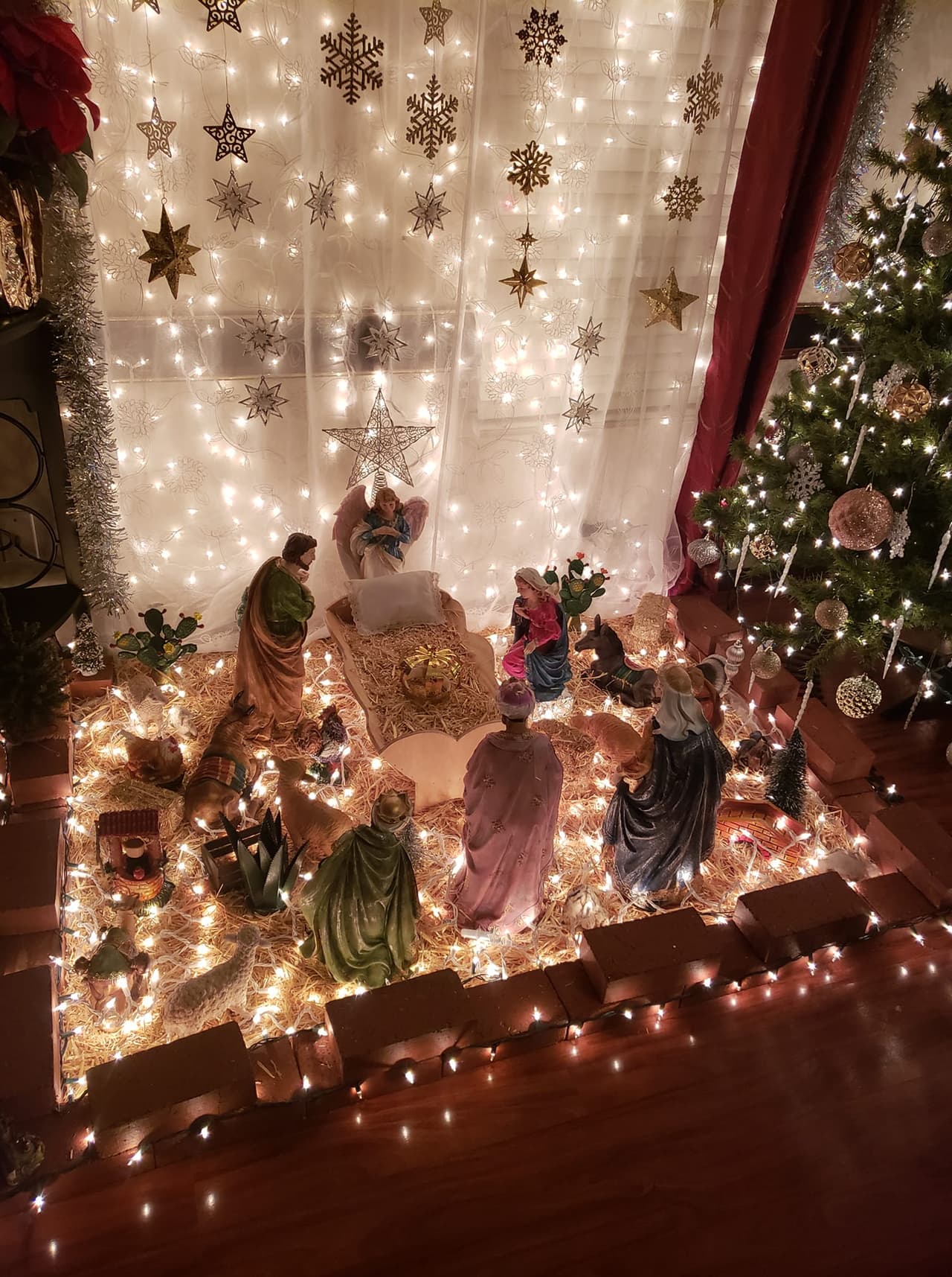 Un tradicional nacimiento rodeado de luces navideñas destaca de la casa de la familia Patiño, quienes esperan el nacimiento del Niño Jesús.