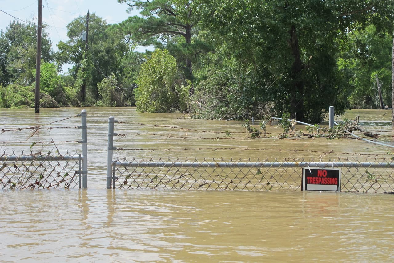 En el condado Harris, hay un aviso por inundación del río 
<a href="https://www.google.com/maps/place/East+Fork+San+Jacinto+River/@30.0305236,-95.1427177,12.36z/data=!4m5!3m4!1s0x8640ab464db7e569:0xddd3f2321d37dc3f!8m2!3d30.0457736!4d-95.1252081" target="_blank">East Fork San Jacinto</a> cerca de New Caney.