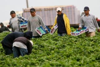 Personas indocumentadas que declararon impuestos en el 2020 con Números de Identificación Tributaria (
<a href="https://www.univision.com/local/los-angeles-kmex/estos-son-los-cinco-pasos-que-tienes-que-seguir-para-renovar-tu-itin-fotos">ITIN</a>) y ganaron $75,000 o menos al año.