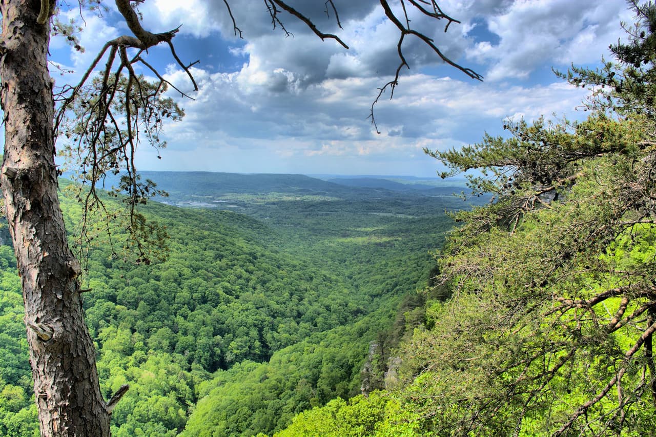 <b>Cloudland Canyon State Park. </b>Deja que la belleza de los antiguos acantilados tallados por el agua sirva como patio trasero en el campamento West Rim del Parque Estatal Cloudland Canyon, en Rising Fawn. Los amantes de las actividades aire libre no deben perderse el espectacular paisaje de este parque.