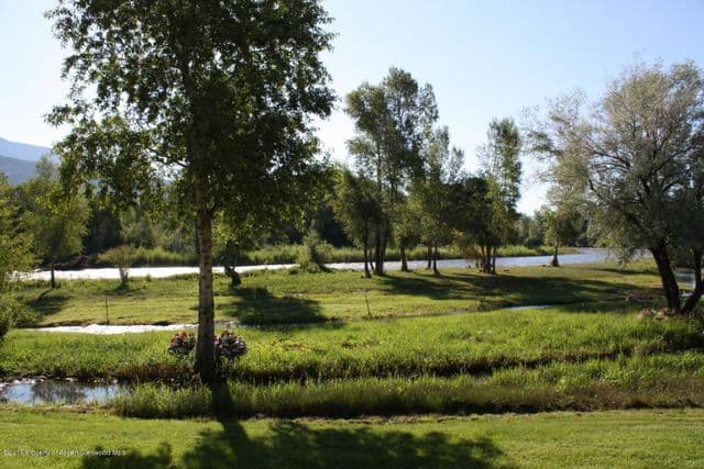 ¿No son encantadoras?