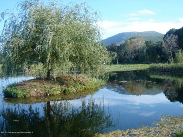 Además, un río de un cuarto de milla cruza el terreno, permitiendo al dueño la pesca.