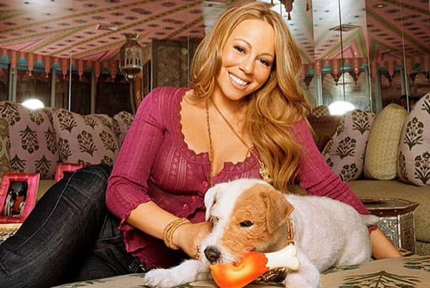 Imagínense cómo los consienten que alguna vez Mariah Carey pagó un jet privado y un hotel de lujo en Inglaterra para Jack Russell.