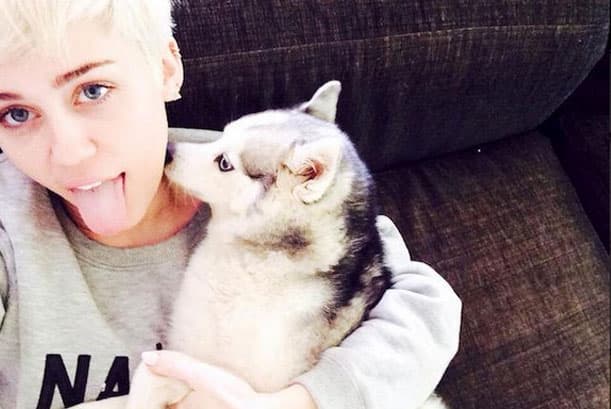 Uno de los golpes más fuertes que recibió la cantante fue la pérdida de su pequeño perrito Floyd.