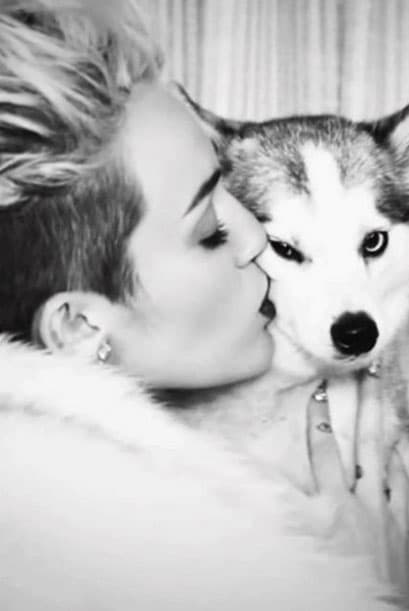 “No he dicho nada porque no quería creer que fuera real. Mi precioso bebé Floyd ha muerto, estoy destrozada”, anunció el 1 de abril de 2014 en redes sociales.