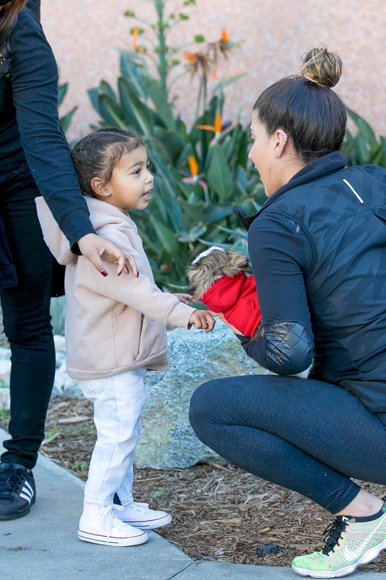 Al parecer le dio calor.