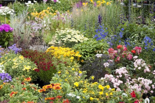 Entonces deberás poner a su disposición plantas que les sirvan de refugio. Los árboles y los arbustos tupidos son ideales para ese fin.