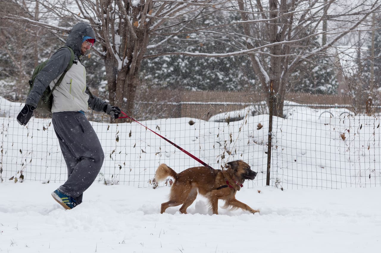 Jamie Olson, de 28 años, camina con su perro Nala el domingo, en el barrio de Woodbridge, en Detroit.