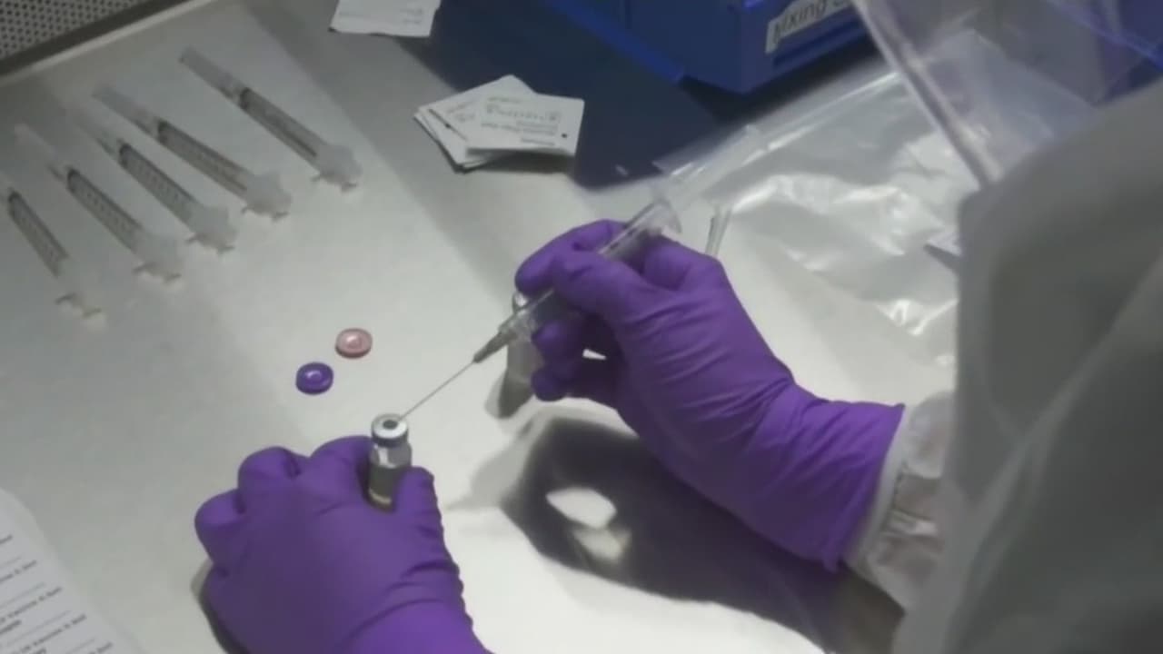 Colapsa el sitio web que ofrece nuevas citas para tener la vacuna del coronavirus en Miami-Dade