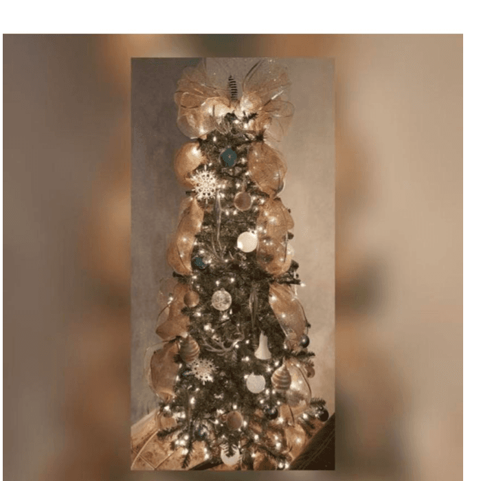 Desde Mayagüez, Nicole Montes nos compartió una foto de su elegante árbol.