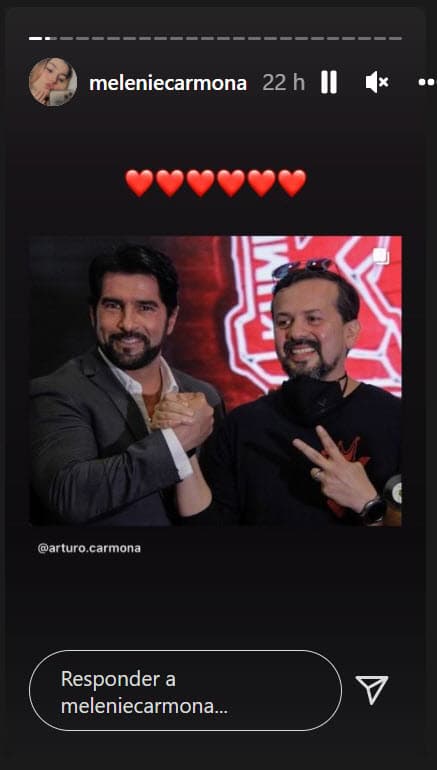 El pasado 19 de enero, el actor reveló en 'Ventaneando' que fue Alicia Villarreal la que hace algunos años propició el encuentro entre él y el productor musical a través de una llamada telefónica en la que el actor se enteró que ese día ellos se casarían.
<br>