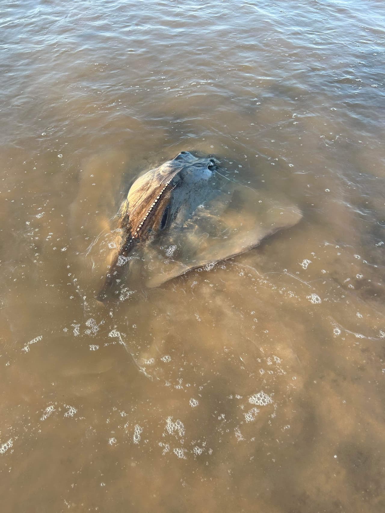 Los equipos están comenzando el proceso de limpiar las playas.