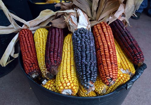 La entrada al festival es gratuita.