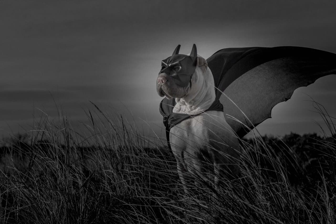 Recuerda lo bonito y chistoso que se veía cuando era bebé.