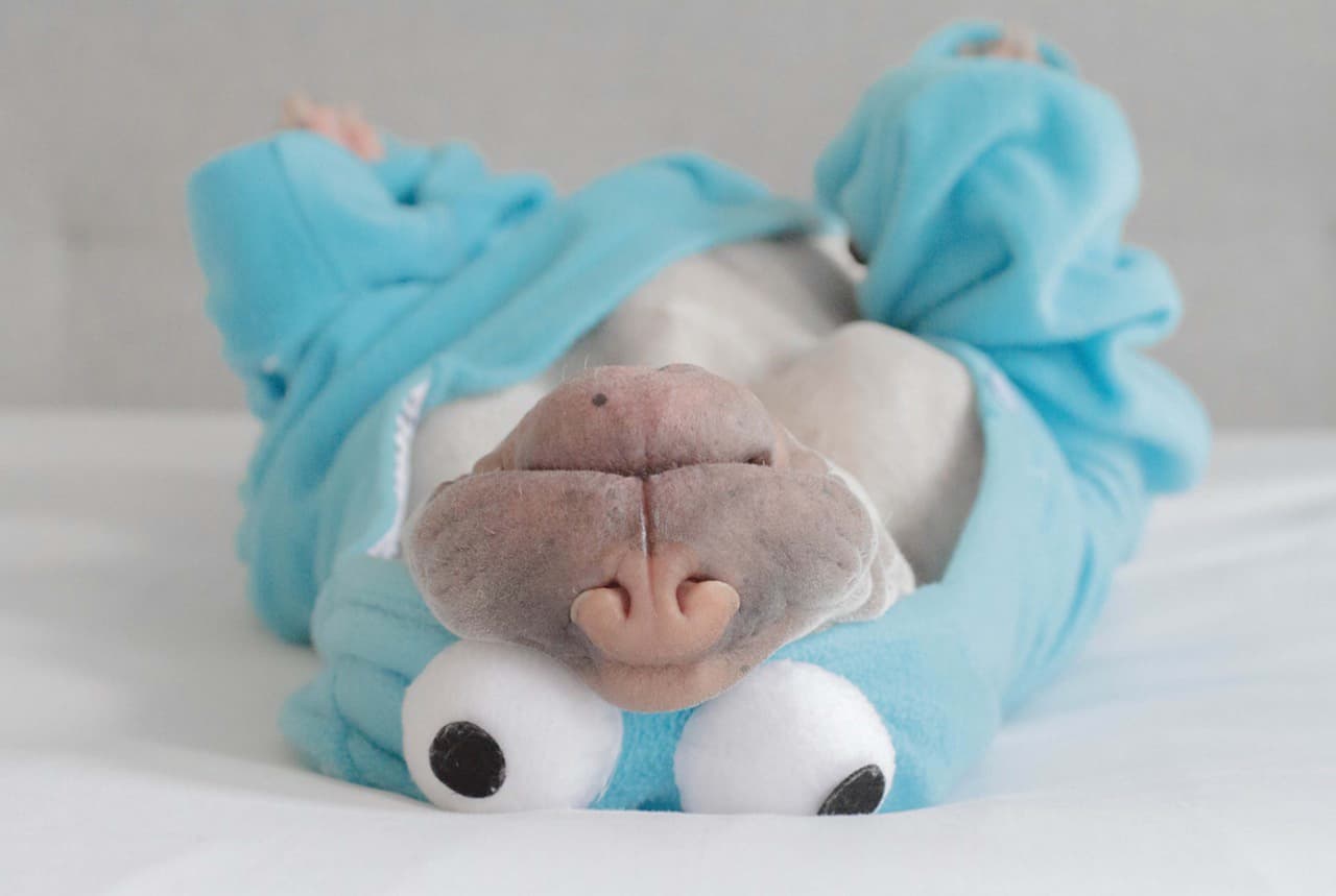 ¡Es una de las criaturas más tiernas!