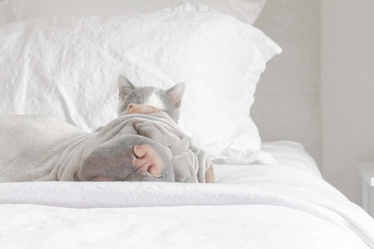 ¡Tiene más de 40 mil followers en su cuenta de Instagram!