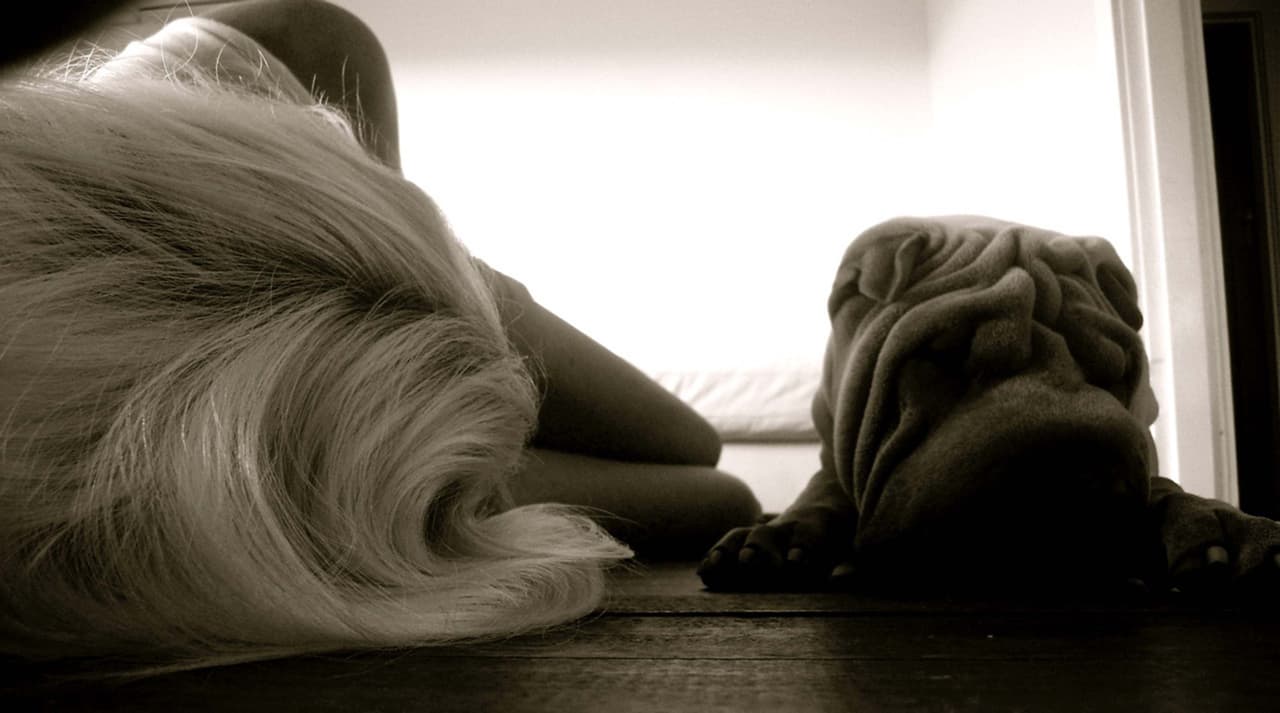 Al perrito le gusta pasar los días acompañado de su familia.