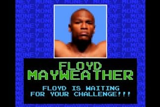 Mayweather Boxing Punch Out