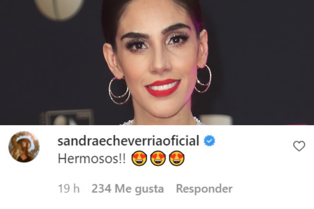 Varios famosos se pronunciaron a favor de la pareja, como lo hizo Sandra Echeverría. 
<br>