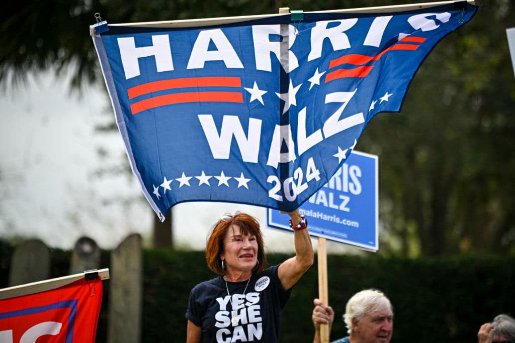 Simpatizantes de Kamala Harris mostraron su apoyo a la demócrata en The Villages, Florida.