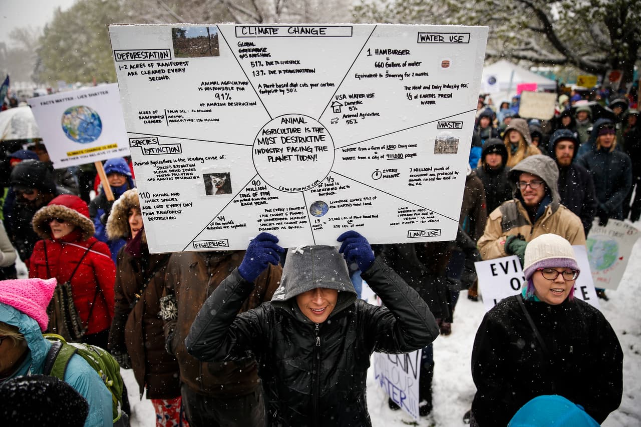 No faltaron las pancartas con complejos diagramas. Este detalla la relación entre las prácticas agrícolas y el cambio climático. Dice: "La agricultura animal es la industria más destructiva que el planeta enfrenta hoy".