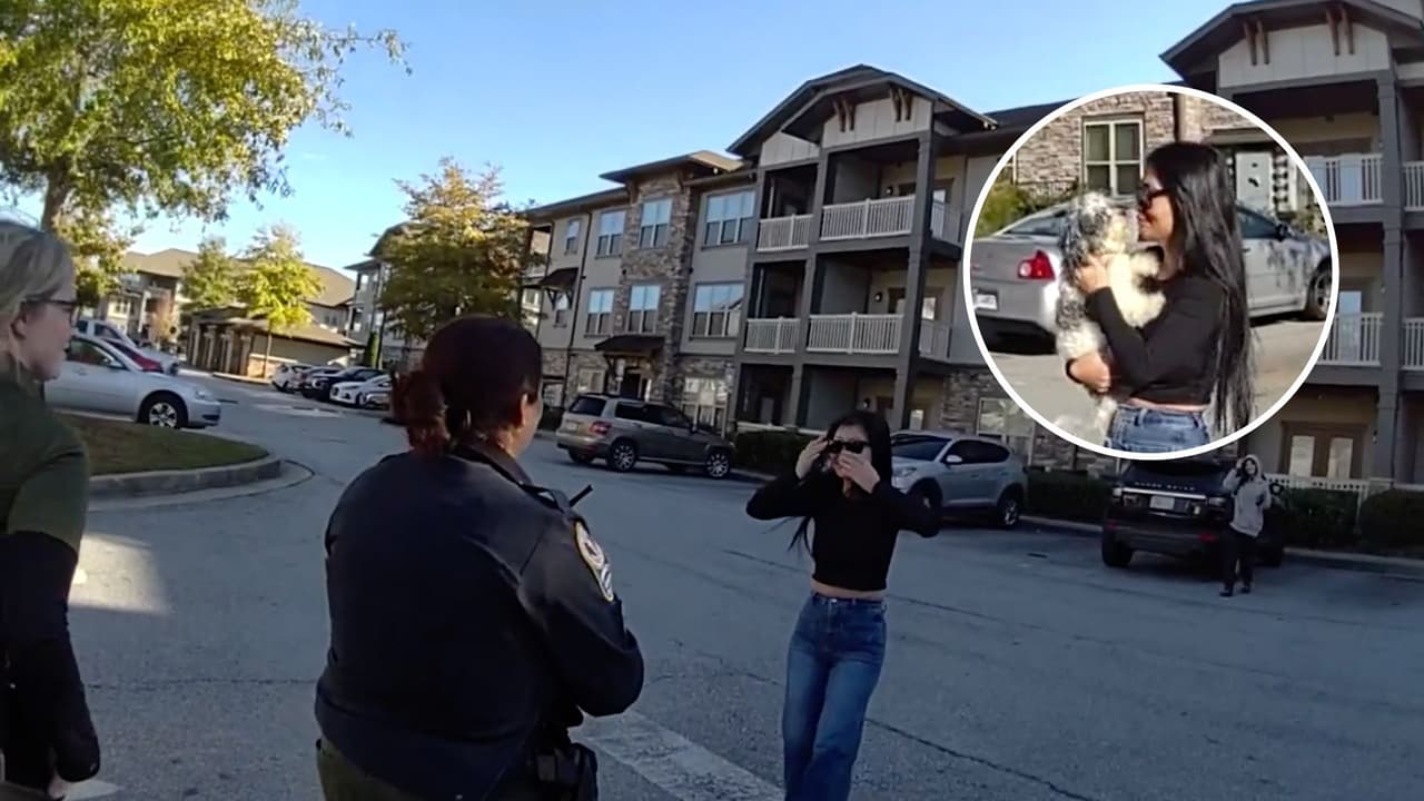 “¡Felicidades, eres abuela!”: mujer se reencuentra con su perrita robada y sus nuevos cachorritos 