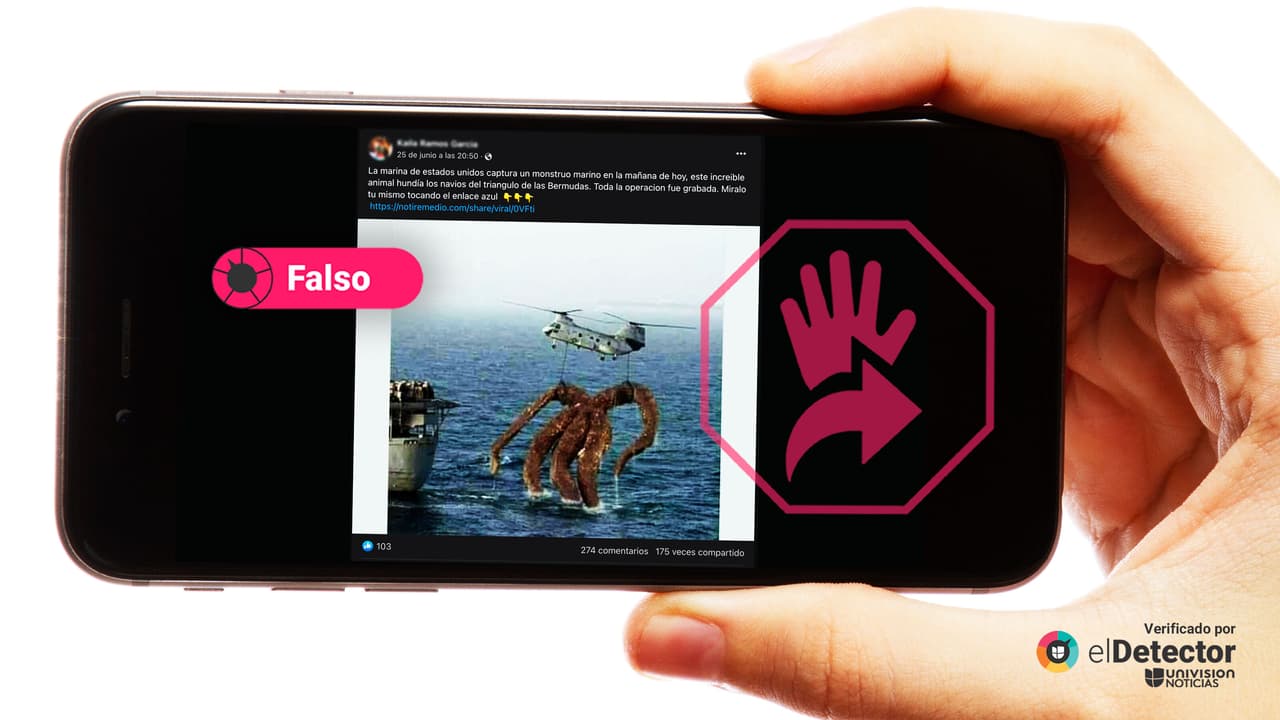 Es falso que la Marina de EEUU capturó “un monstruo” en “la mañana de hoy” en las Bermudas