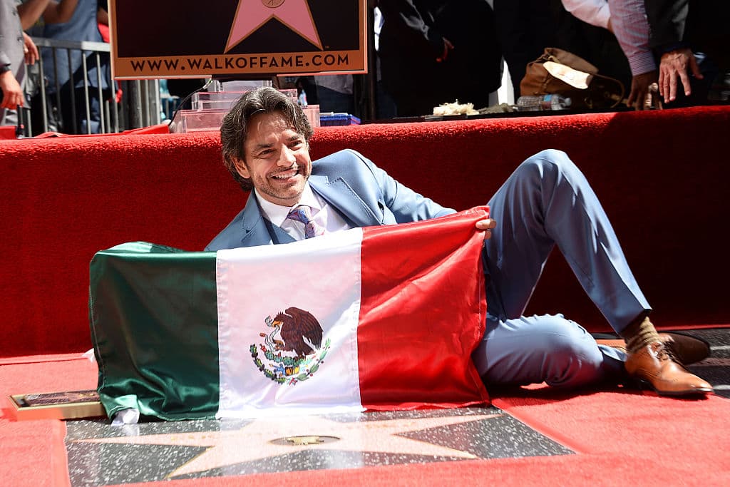 El monumento, según se leía en la placa, fue erigido "en agradecimiento a la aportación" y "difusión de Acapulco en el mundo" que ha hecho Eugenio Derbez, sobre todo por la película que filmó ahí, 'No se aceptan devoluciones', de 2013. 
<br>