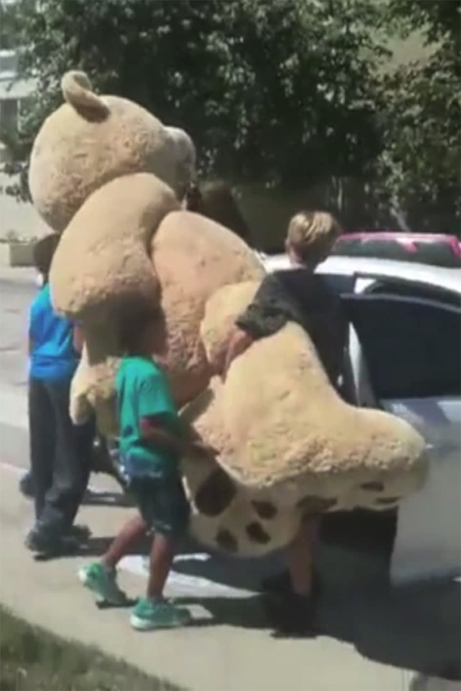 Después los gemelos ayudaron a Shiloh a meter el osote en el auto de la actriz.