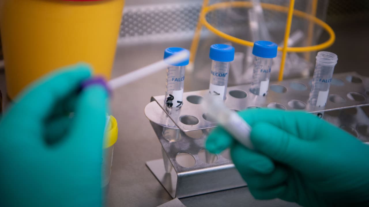 Coronavirus: ¿Qué se sabe sobre la variante ómicron, calificada por la OMS como “de preocupación”?