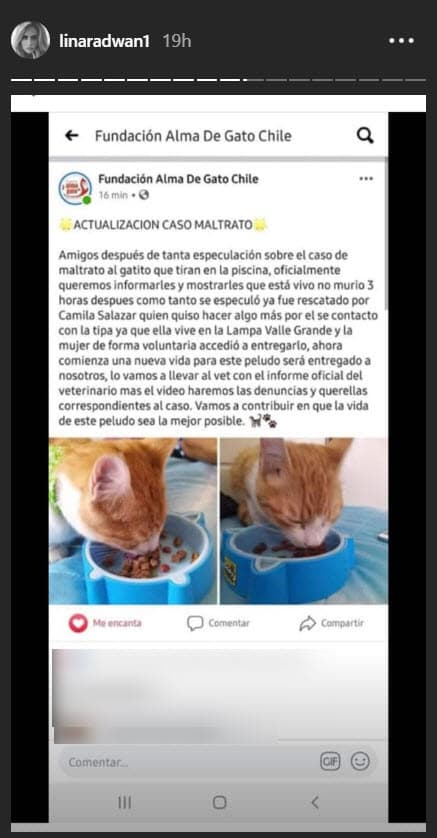 Minutos más tarde compartió otra fotografía de la cuenta de Facebook de un refugio animal, en donde se informa que 
<b>el gato fue rescatado </b>y se haría la denuncia correspondiente contra la presunta atacante.
<br>