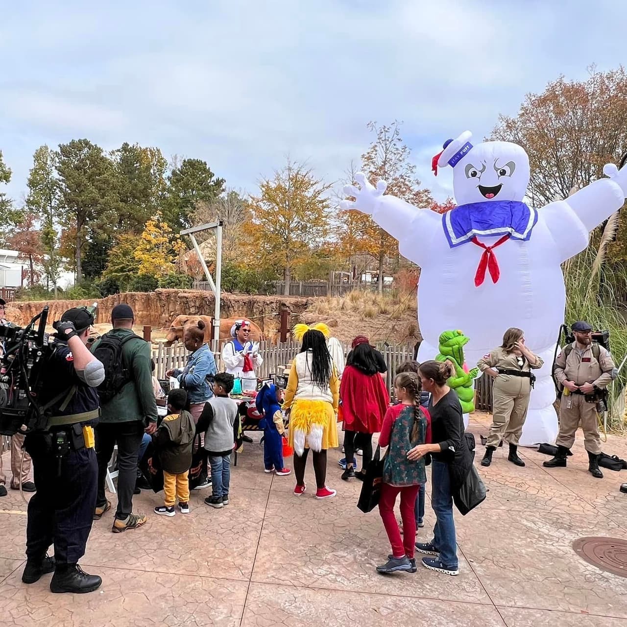 <b>Evento</b>: Boo at the Zoo
<br>
<b>Fecha</b>: 28 y 29 de octubre
<br>
<b>Lugar</b>: 
<a href="https://maps.app.goo.gl/jcUCzMRY3Z3aP9QS8">Zoo Atlanta. 800 Cherokee Avenue SE. Atlanta, GA. 30315</a>
<br>
<b>Sitio web</b>: 
<a href="https://zooatlanta.org/event/boo-at-the-zoo/">https://zooatlanta.org/event/boo-at-the-zoo/</a> 
<br>
<br>Los niños vienen disfrazados para un festival de Halloween no tan aterrador durante el día. Las familias disfrutan de juegos, baile y salen a pedir dulces mientras ven animales.