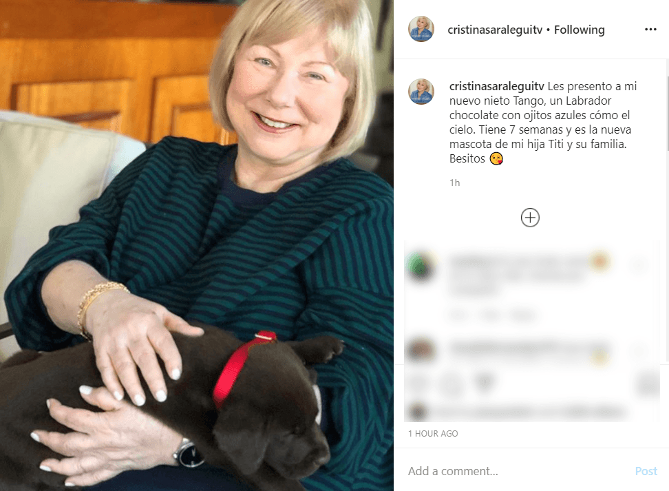 Se trata de Tango, un labrador chocolate que adoptó su hija Cristina, su hija mayor.