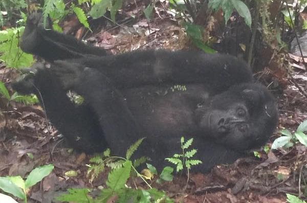 Y estas maravillosas imágenes las captó Raúl con su cámara.