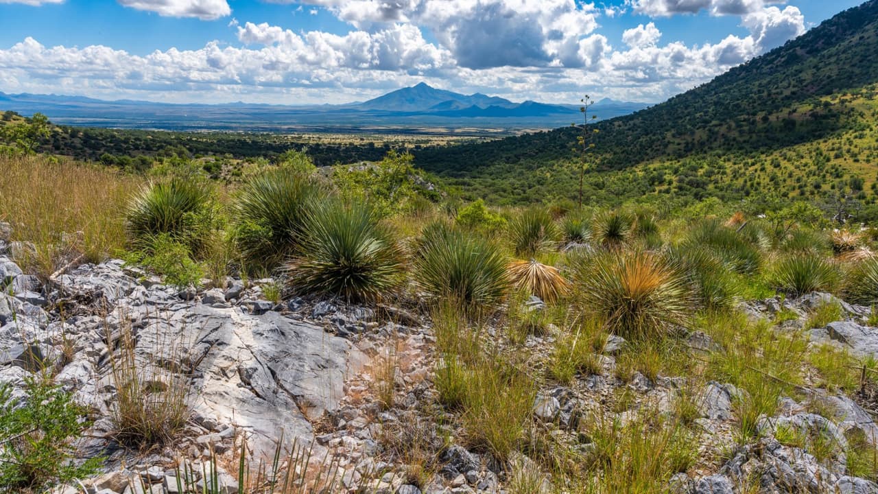 Un lugar que pudo haber sido el escondite de pueblos arcaicos medios hace 8000 años: Las cavernas de Coronado