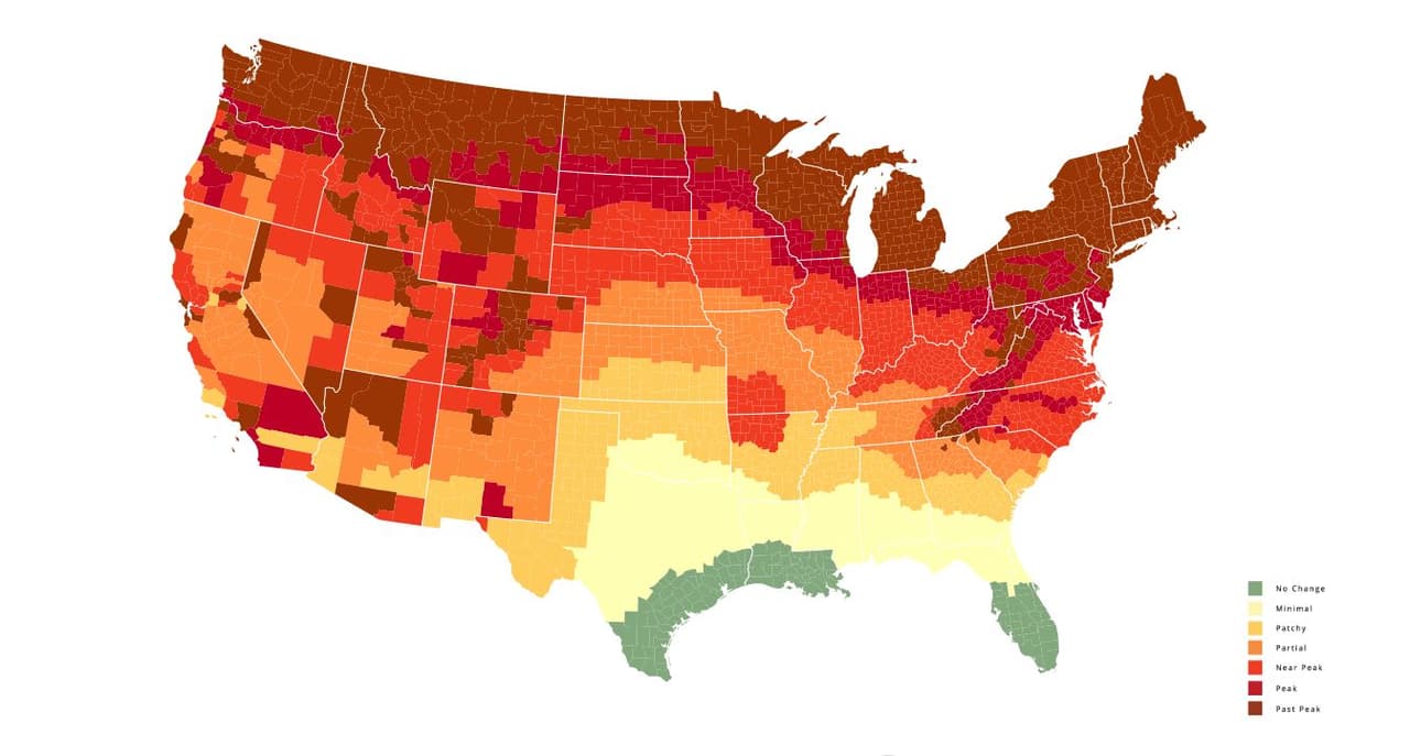 <b>Semana del 24 de octubre</b>. La mayor parte del estado ya está en su pico o por alcanzarlo. Al oeste, el punto máximo de cambio de color ya pasó.