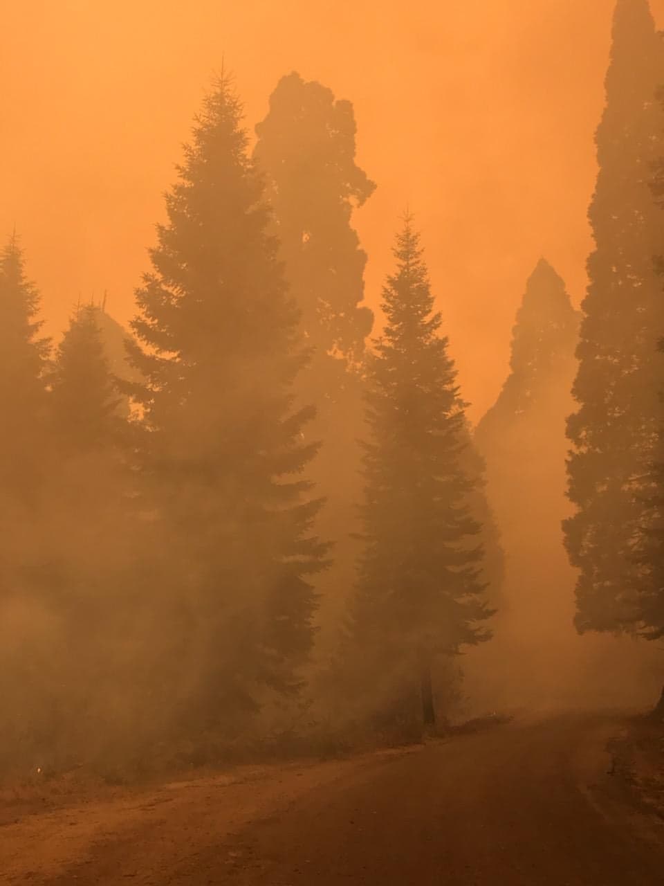 Los efectivos trabajan en zonas cercanas a Ponderosa mejorando las líneas de contención para crear un amortiguador alrededor de la comunidad. Aún existe la posibilidad de incendios puntuales, dice el comunicado del Servicio Forestal, a cargo del manejo de este incendio.
