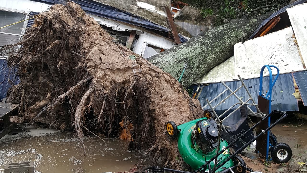 Una mujer murió en Texas luego de que un árbol cayó sobre su casa móvil