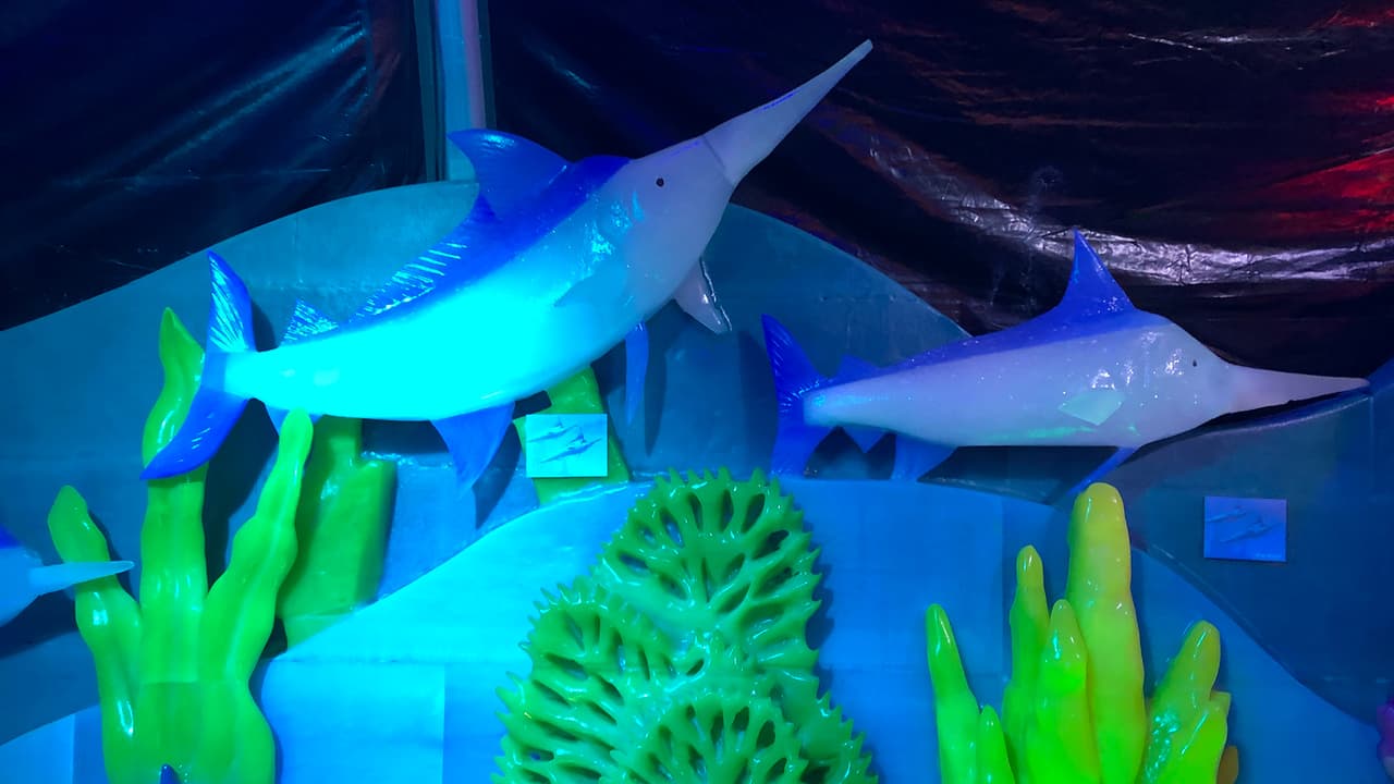 Los precios para la exhibición de Ice Land comienzan a $29.00 para adultos y $24.00 para niños y personas mayores.