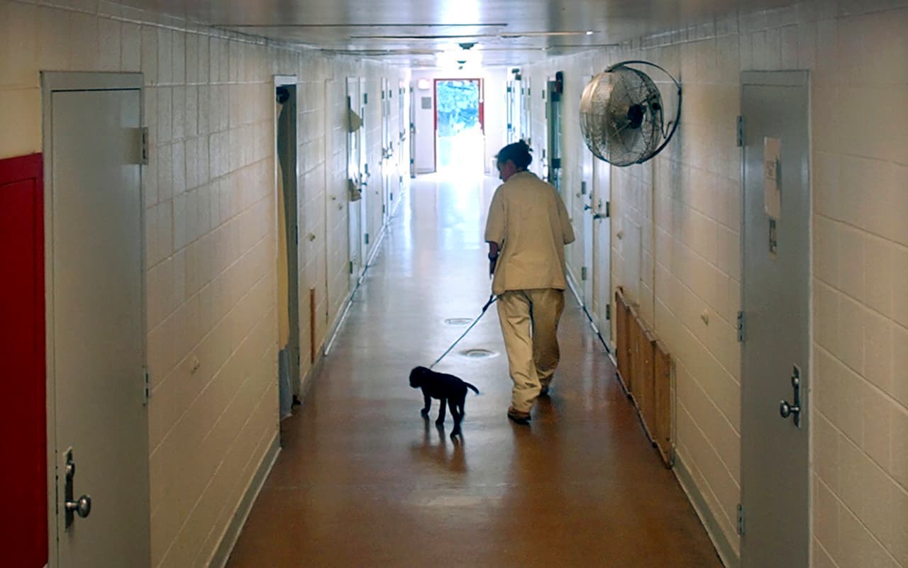 Dentro de esa cárcel -la única prisión femenina del estado-, al parecer las mujeres quedaron embarazadas
<b> por “relaciones sexuales consentidas con otra reclusa”</b>, le dijo al portal Dan Sprerrazza, director ejecutivo de asuntos externos del DOC.
<br>