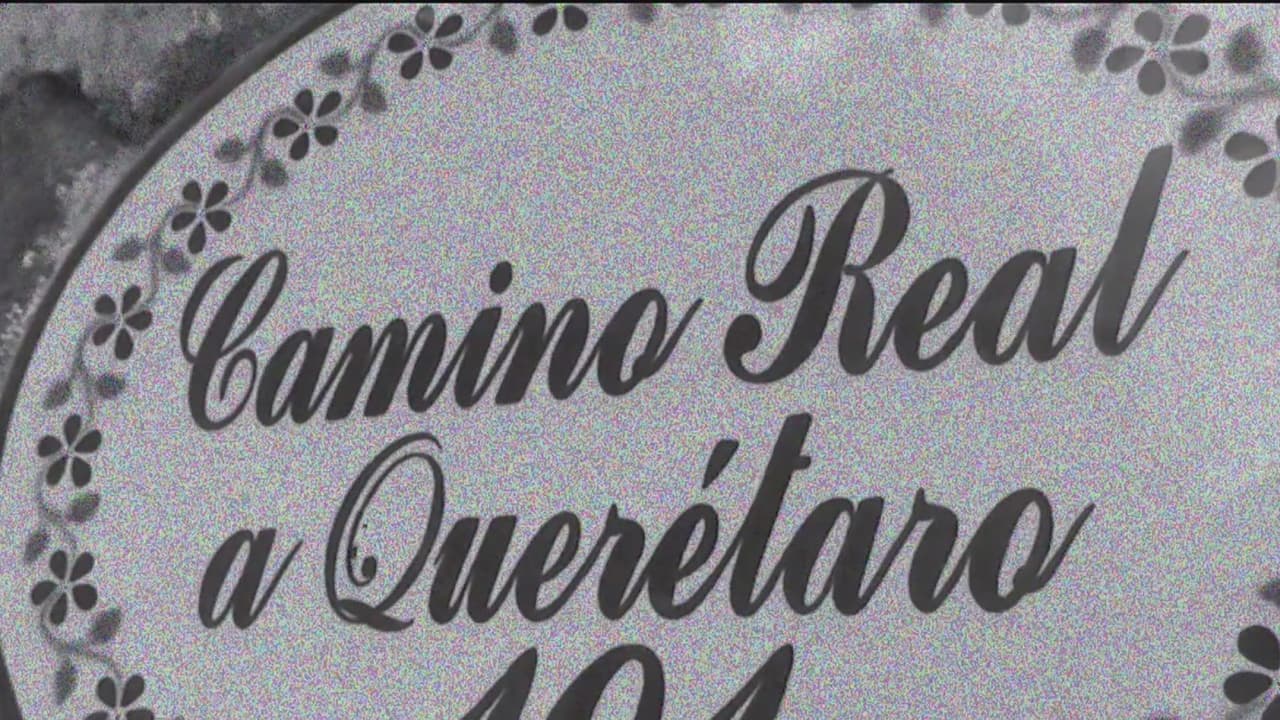 El Camino Real, la ruta por donde pasaron los colonizadores de San Antonio
