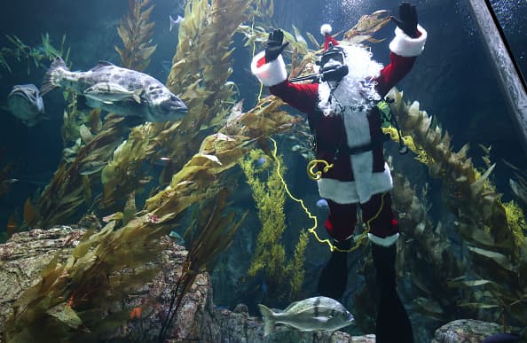 Los fines de semana del 4 al 19 de diciembre, tendrás oportunidades de tomarte fotografías con el Santa buzo y sus ayudantes