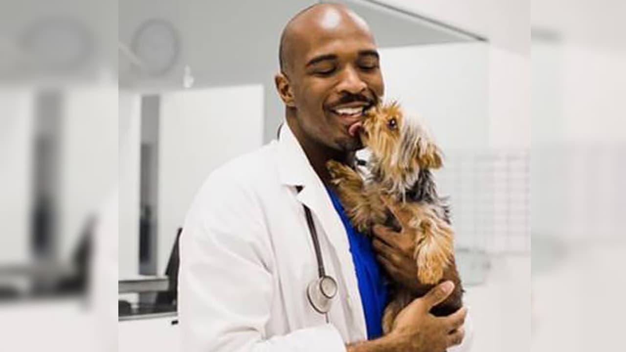 Veterinario se declara culpable de grabarse al abusar sexualmente de perros y poseer archivos de pornografía infantil