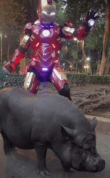 Y tú, ¿te atreverías a tener una mascota como La Chata?