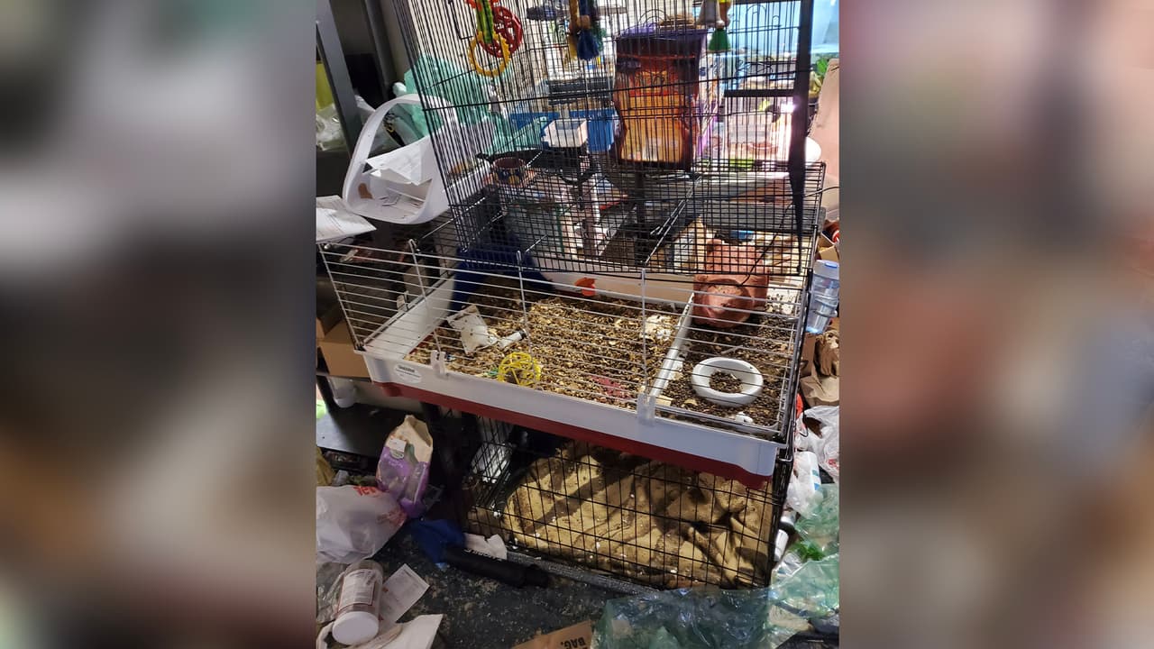 El apartamento está ubicado en la cuadra 8900 de la Chimney Rock, al suroeste de Houston.